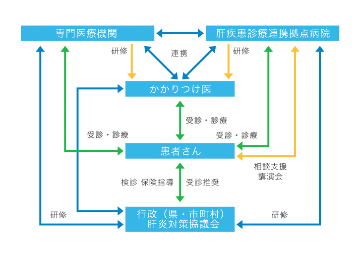 沖縄県肝炎診療ネットワーク図